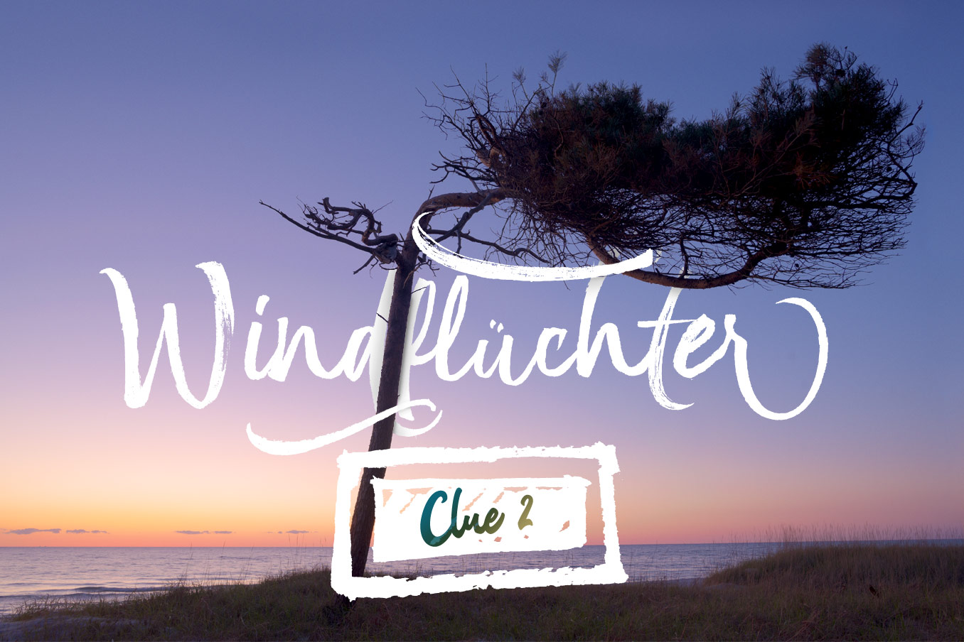 Windflüchter M-CAL Clue 2